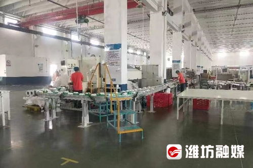 老造纸厂的新篇章 恒联集团的上市梦与裕恒印务的转型之路